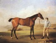 STUBBS, George Molly Longlegs with Jockey (mk08) oil painting picture wholesale